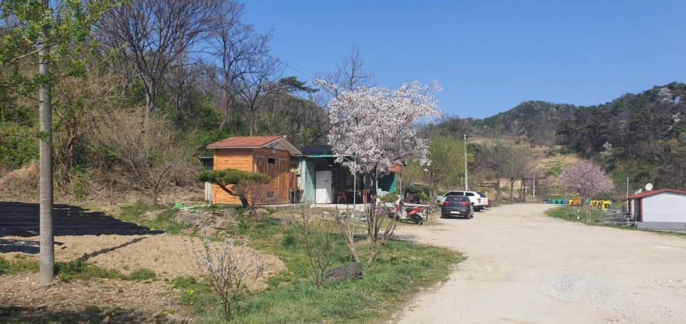 블랙베어의 유료터 조행기 충북 괴산 박달산 낚시터 (유료터정보 - 유료터조행기)