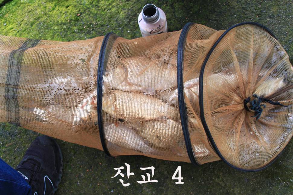 대박이네요 만정낚시터 (유료터정보 - 유료터조행기)