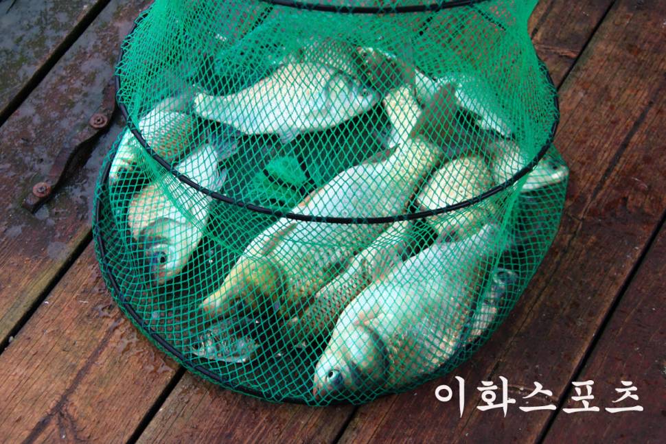 비가와도 대박 (유료터정보 - 유료터조행기)