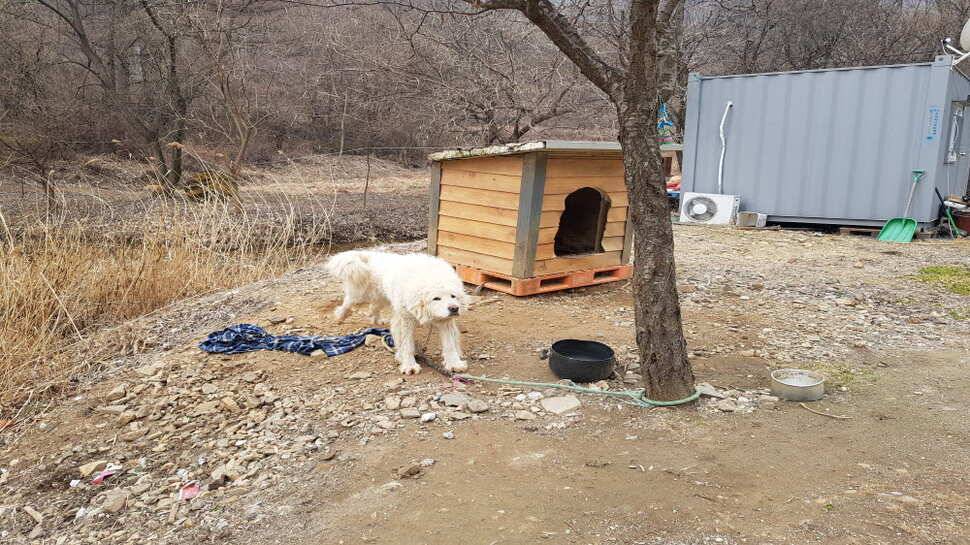 오산나그네의 봉낚시터 조행기 (유료터정보 - 유료터조행기)
