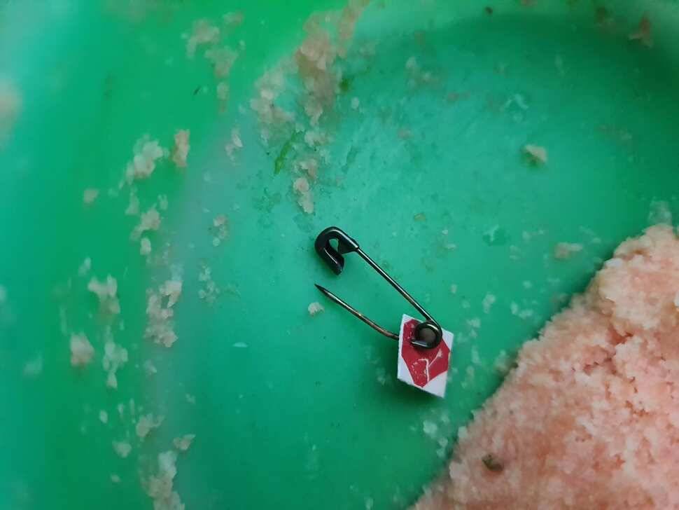 평일 고양 백두산하우스 조행기 (유료터정보 - 유료터조행기)