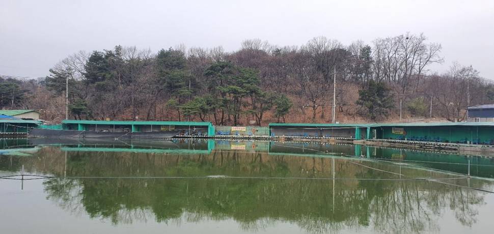 블랙베어의 유료터 조행기 남양주 배양리 낚시터 (유료터정보 - 유료터조행기)