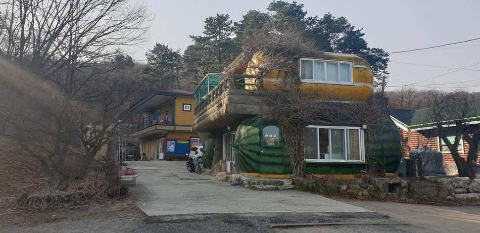 물낚시 시즌이 돌아온듯 (유료터정보 - 유료터조행기)