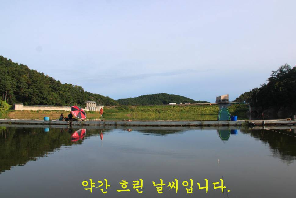16척 마둔낚시터 (유료터정보 - 유료터조행기)
