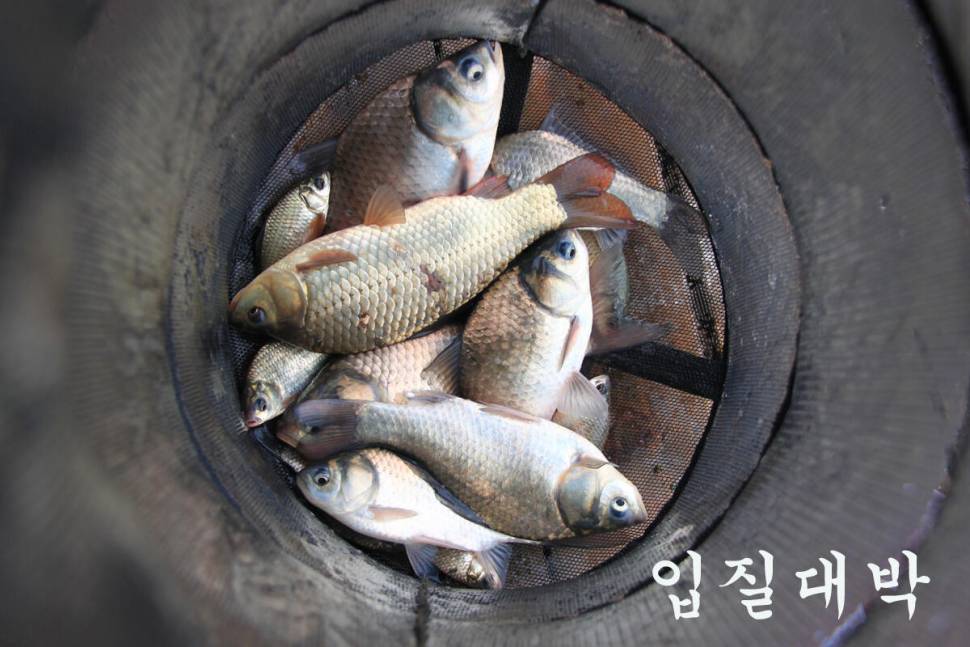 7주째 대박 행진 (유료터정보 - 유료터조행기)