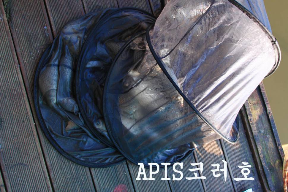 아침 안개 만정낚시터 (유료터정보 - 유료터조행기)