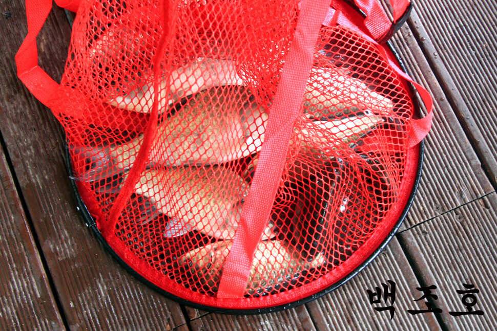 6월 14일 만정지 (유료터정보 - 유료터조행기)