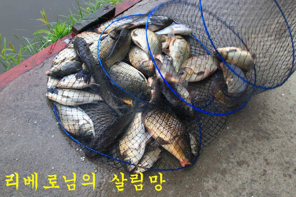 붕어들의 역습 만정낚시터 (유료터정보 - 유료터조행기)