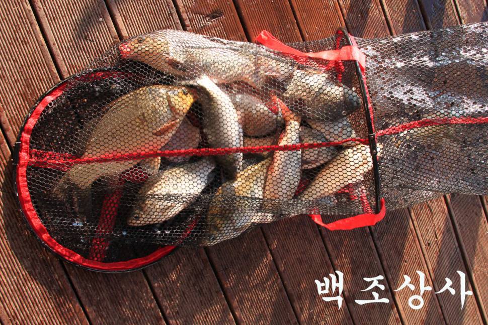 아침 안개 만정낚시터 (유료터정보 - 유료터조행기)