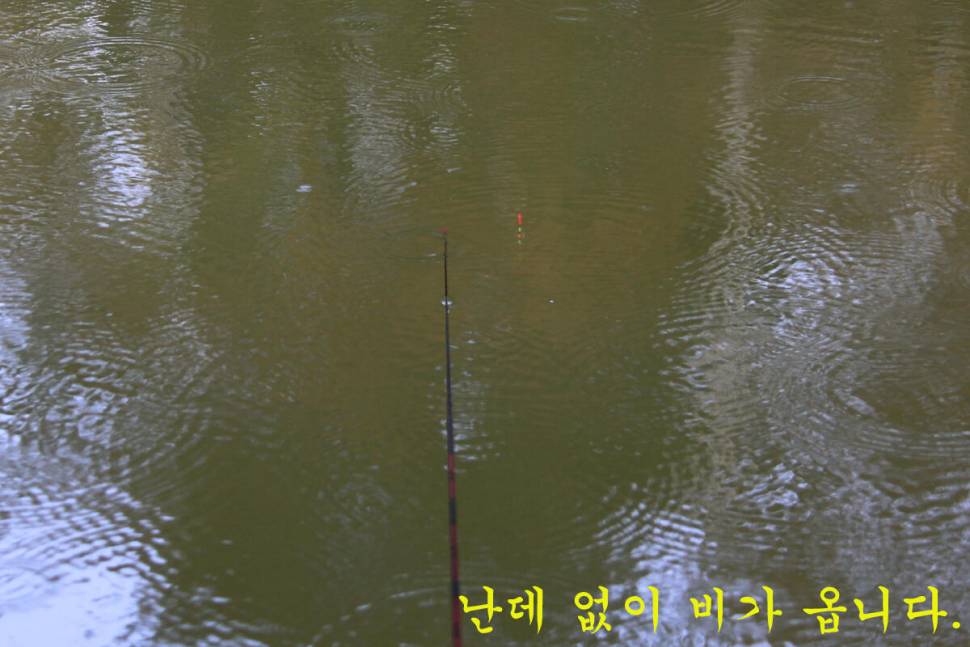 찌가 사라집니다 (유료터정보 - 유료터조행기)