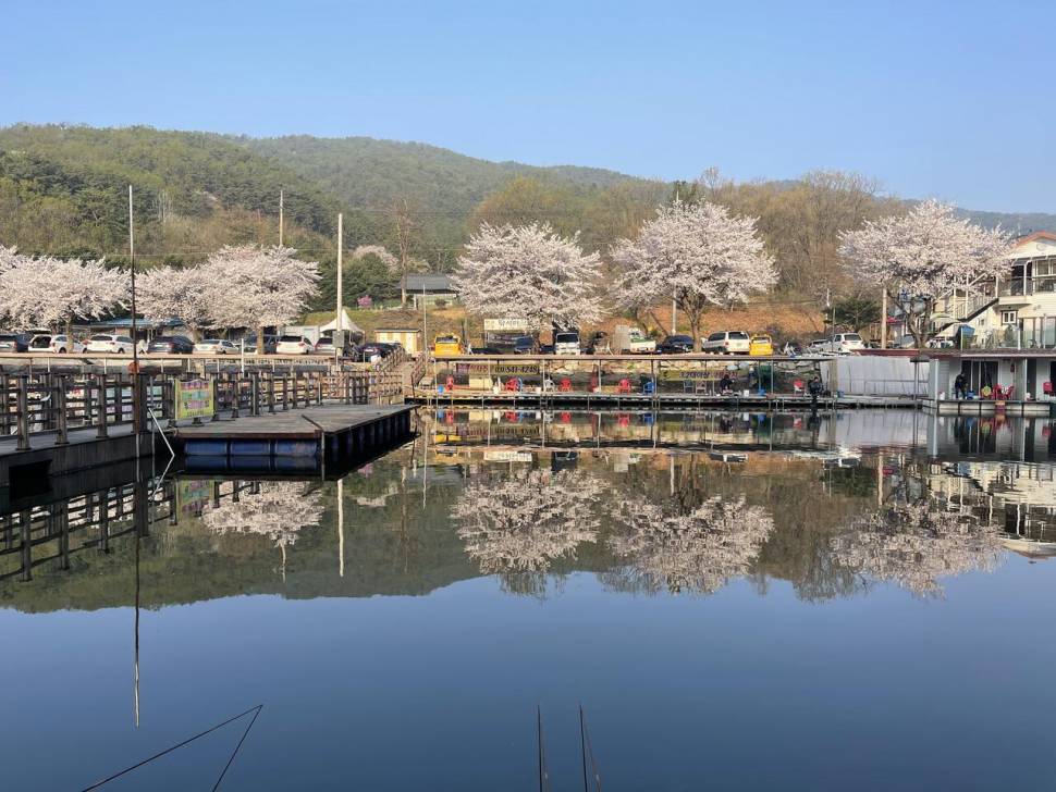 꽃 피운 동교낚시터 (유료터정보 - 유료터조행기)