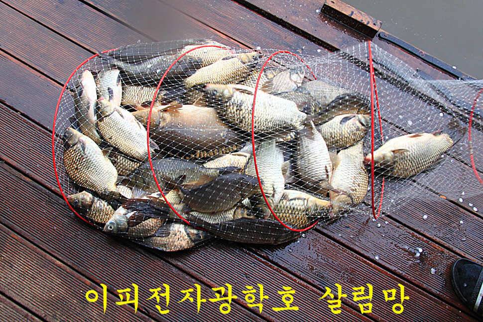 붕어들의 역습 만정낚시터 (유료터정보 - 유료터조행기)