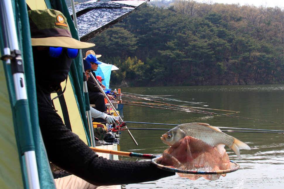 도로로가 답이었네요 냉정낚시터 (유료터정보 - 유료터조행기)
