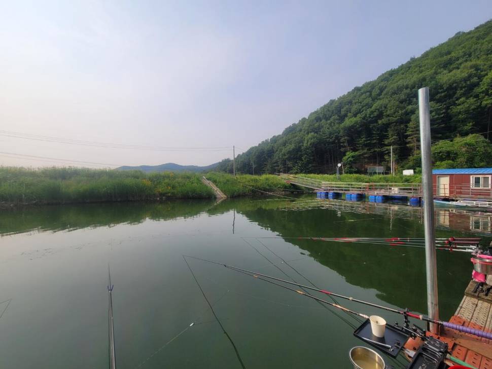 끝내주는 경치 끝내주는 마리수 둘다 만족하는 낚시터가 있다 안성 성주리낚시터 (유료터정보 - 유료터조행기)