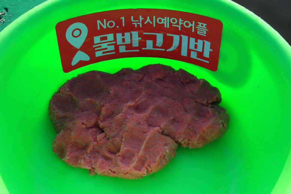 물속을 어찌 알까요 덕성낚시터 (유료터정보 - 유료터조행기)