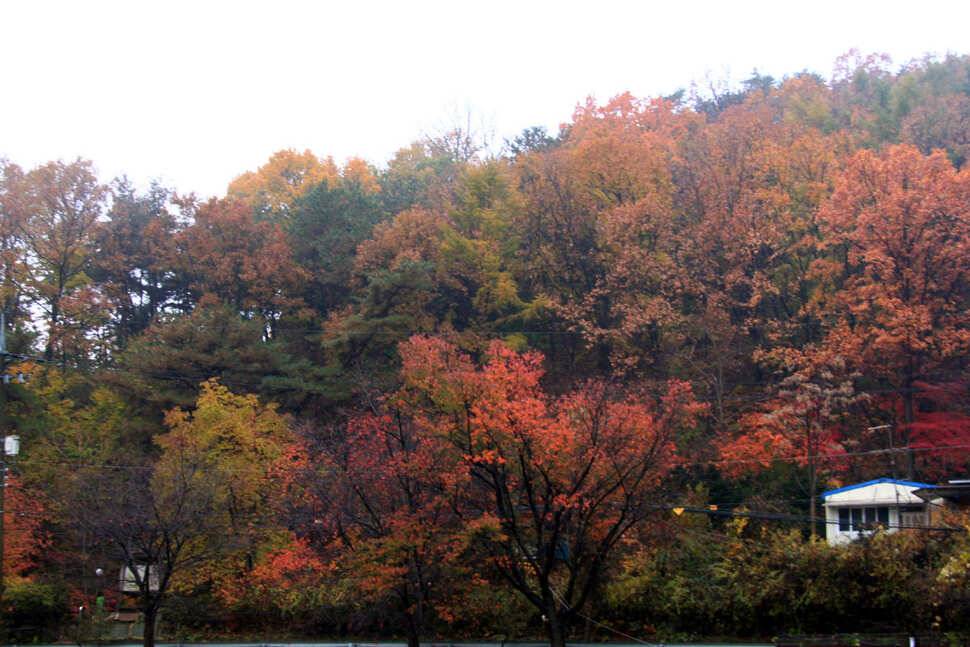 겨울철 낚시터를 찾아서 2 덕성낚시터 (유료터정보 - 유료터조행기)