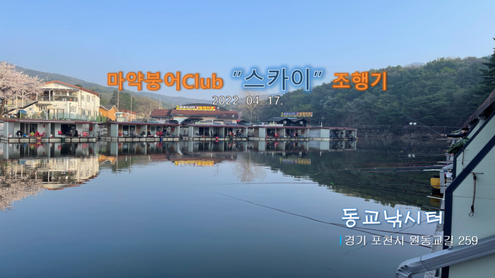 꽃 피운 동교낚시터 (유료터정보 - 유료터조행기)