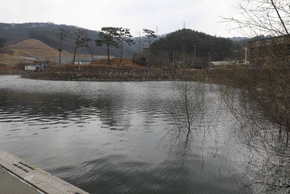 바람 바람 바람 마둔낚시터 (유료터정보 - 유료터조행기)