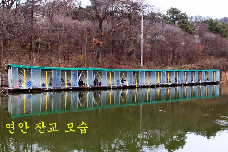 새 붕어 입질 굿 (유료터정보 - 유료터조행기)