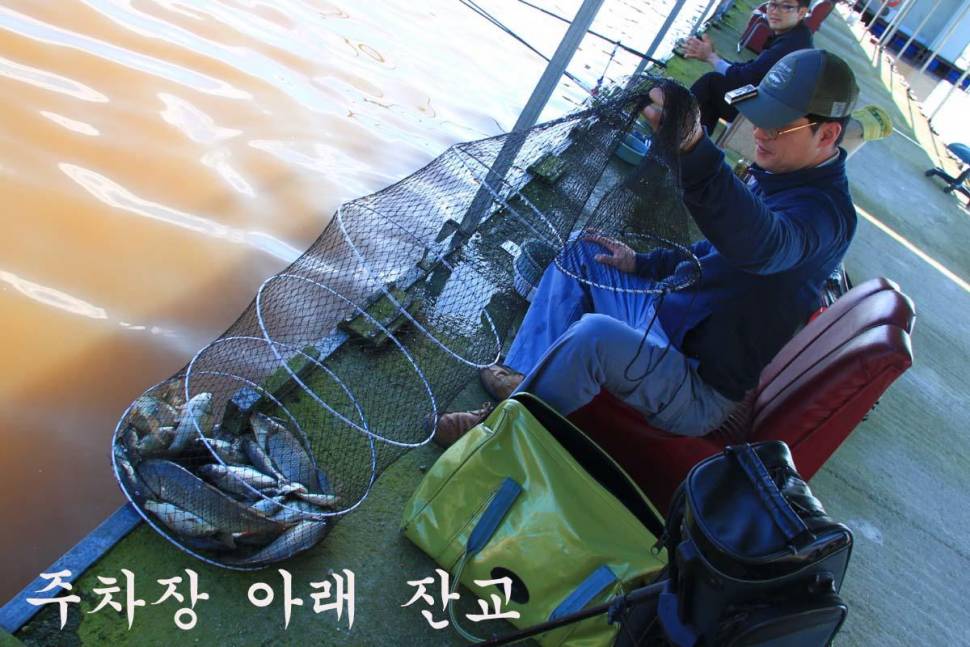 비가 왔어도 잘 나오네요 ― 만정낚시터 (유료터정보 - 유료터조행기)