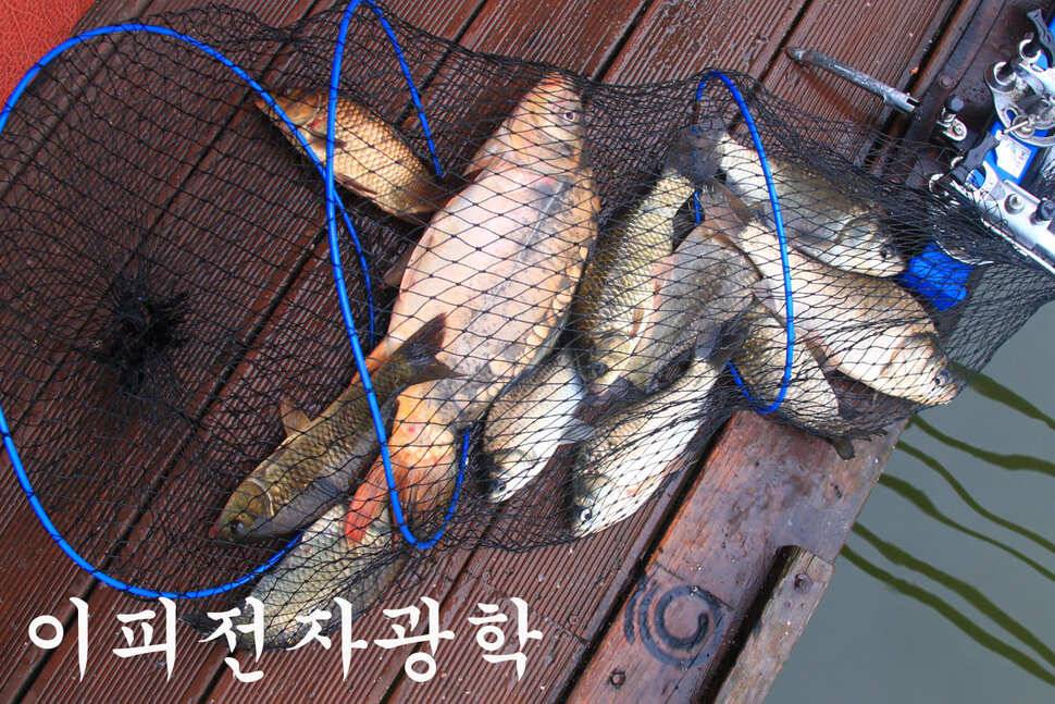 6월 14일 만정지 (유료터정보 - 유료터조행기)