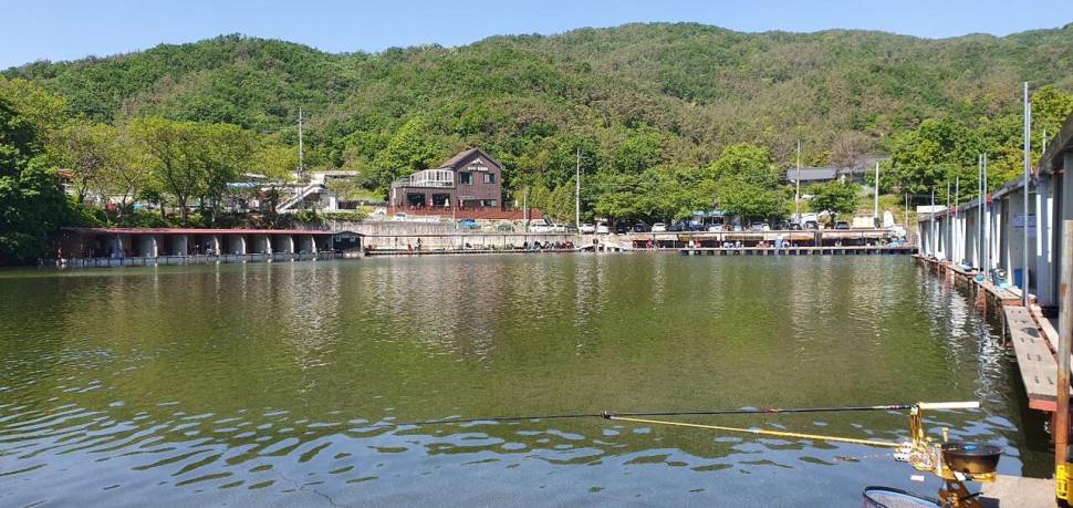 블랙베어의 유료터 조행기 포천 동교 낚시터 (유료터정보 - 유료터조행기)