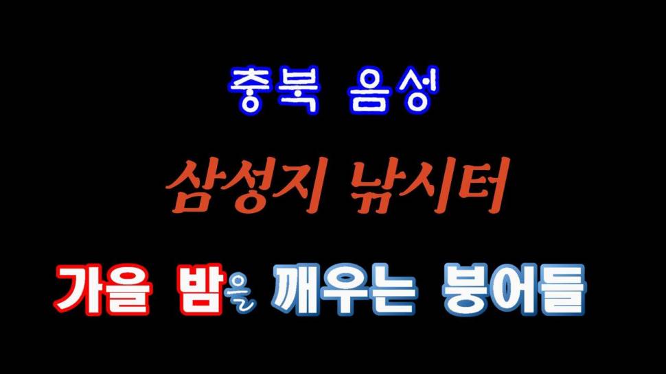 가을 밤을 깨우는 붕어들 충북 음성 삼성지 낚시터 (유료터정보 - 유료터조행기)