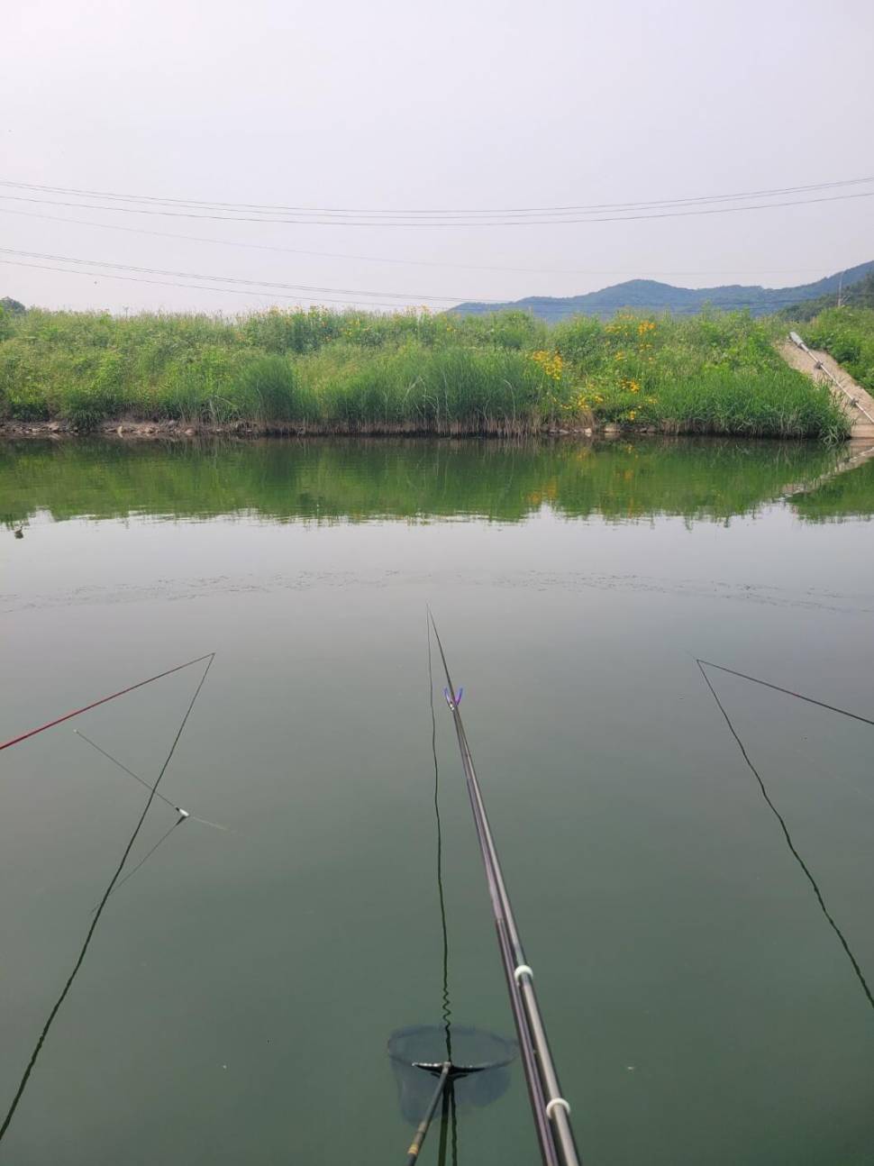 끝내주는 경치 끝내주는 마리수 둘다 만족하는 낚시터가 있다 안성 성주리낚시터 (유료터정보 - 유료터조행기)