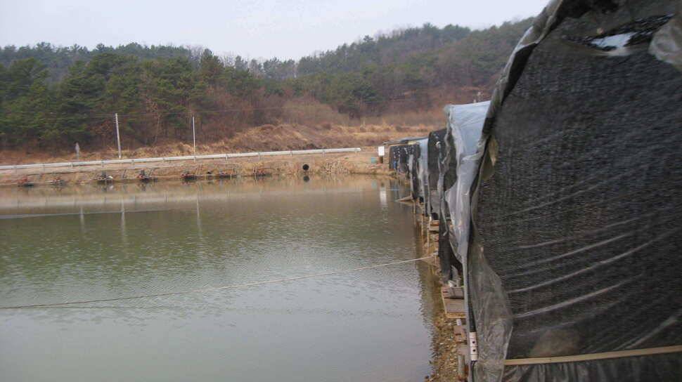 도채낚시터조행기입니다 (유료터정보 - 유료터조행기)