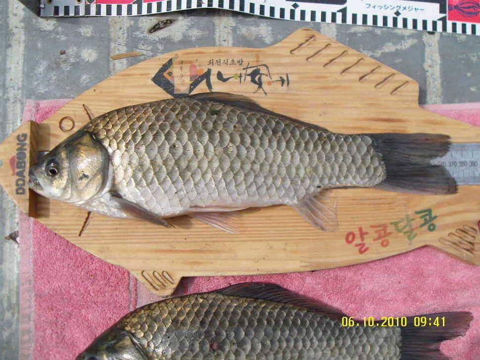 동명 송림지조황 (유료터정보 - 유료터조행기)