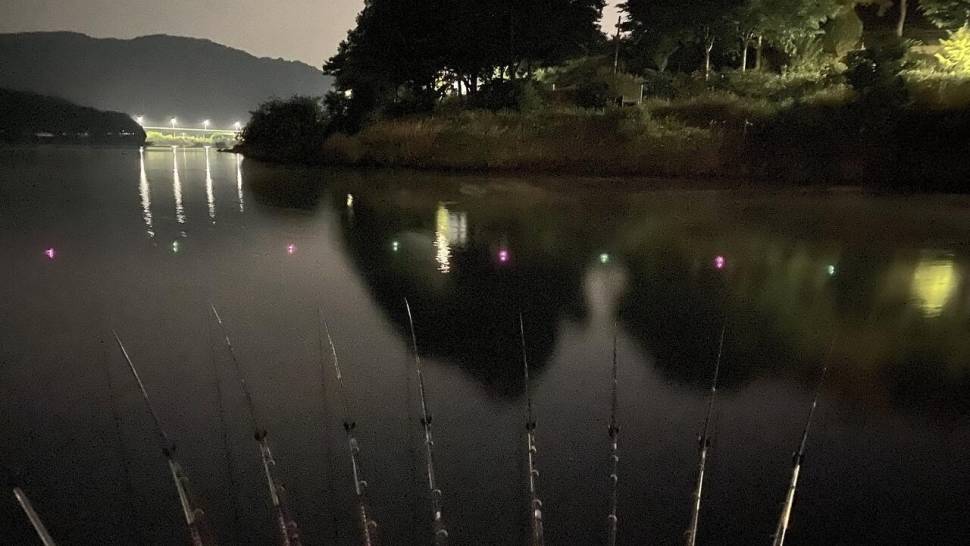 잔잔한손맛 묵직한손맛 그리고 화끈한손맛 안성 용설지 (유료터정보 - 유료터조행기)