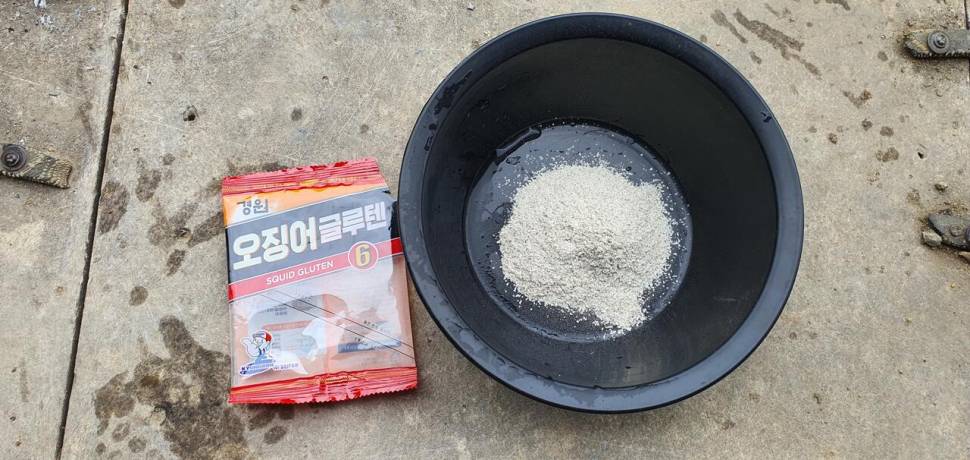 오랜만에 찾은 백동 (유료터정보 - 유료터조행기)