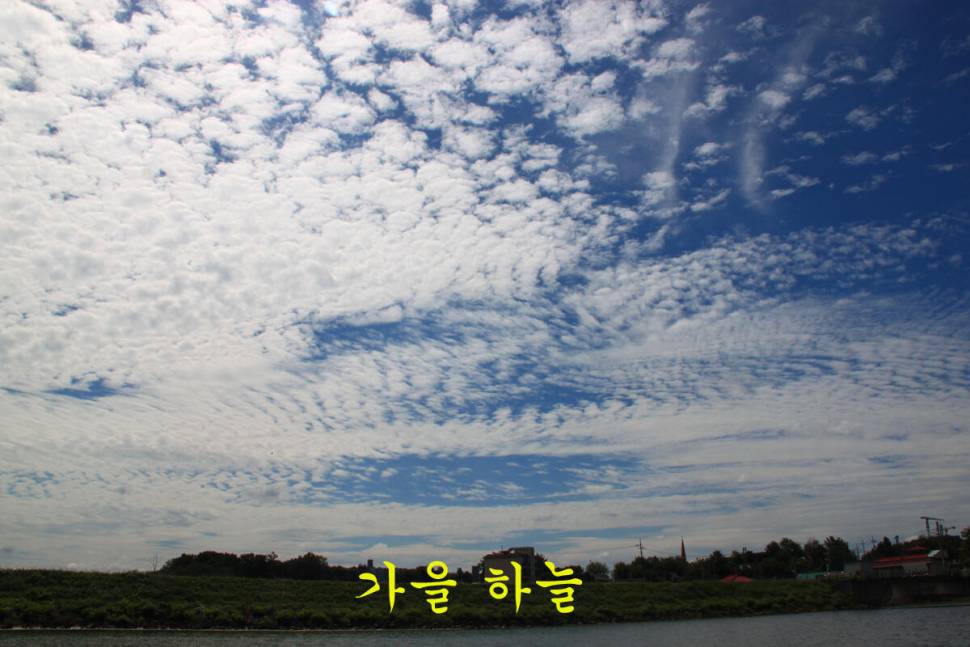 9월의 선물 만정낚시터 (유료터정보 - 유료터조행기)