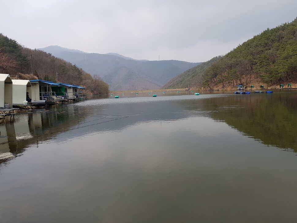 오산나그네의 천평낚시터 조행기 (유료터정보 - 유료터조행기)