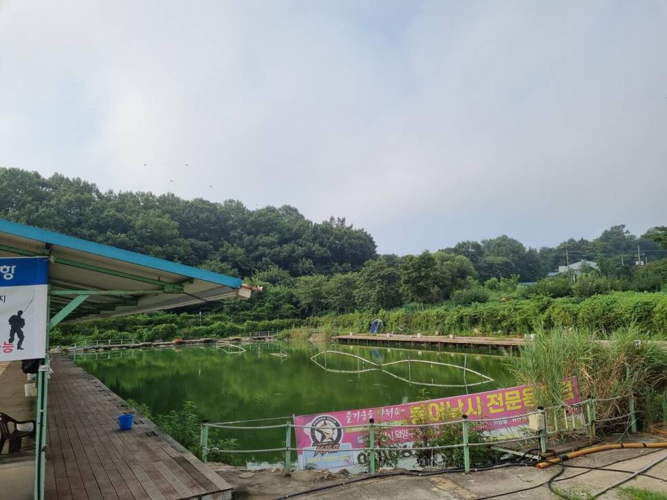 김포 아리수 낚시터 조행기 (유료터정보 - 유료터조행기)