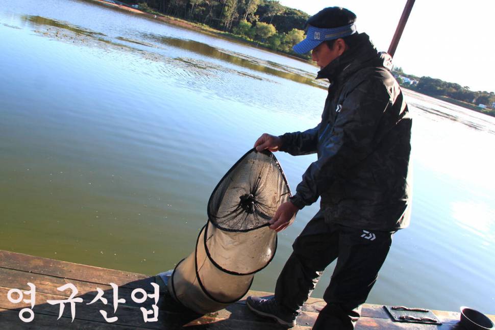 만정낚시터 4주째 대박 행진 (유료터정보 - 유료터조행기)