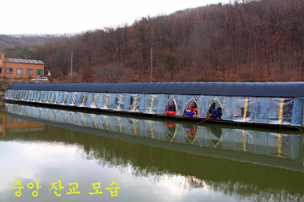 새 붕어 입질 굿 (유료터정보 - 유료터조행기)