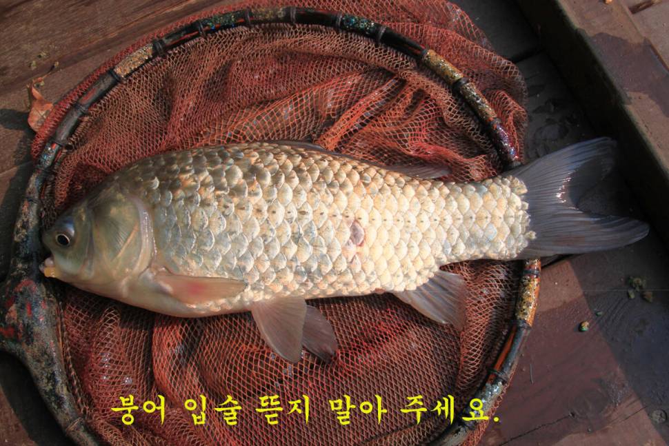 우연 (유료터정보 - 유료터조행기)