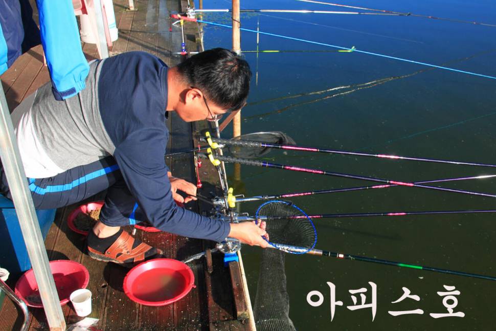 만정낚시터 4주째 대박 행진 (유료터정보 - 유료터조행기)