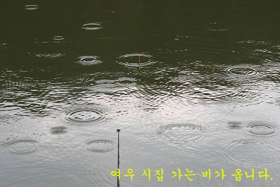 우연 (유료터정보 - 유료터조행기)