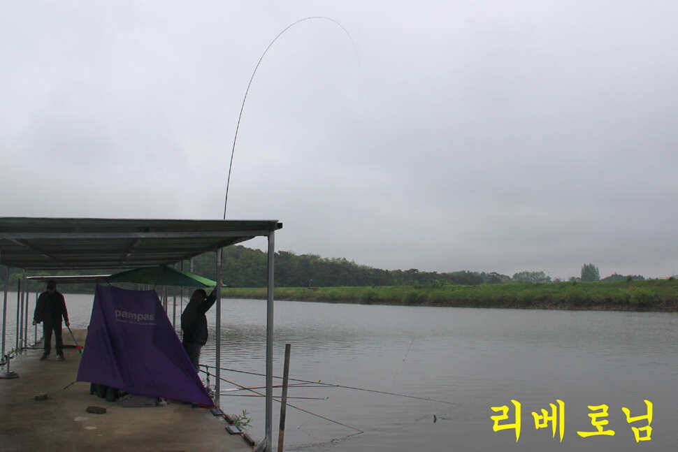 붕어들의 역습 만정낚시터 (유료터정보 - 유료터조행기)