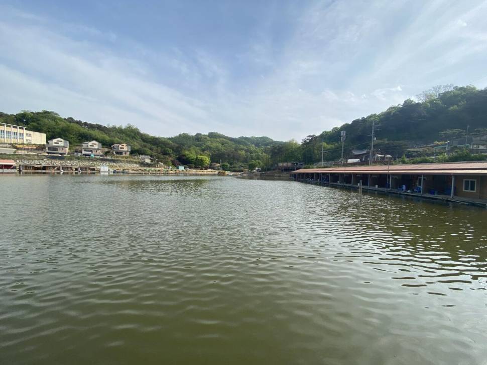 안성 장광낚시터 후기 (유료터정보 - 유료터조행기)