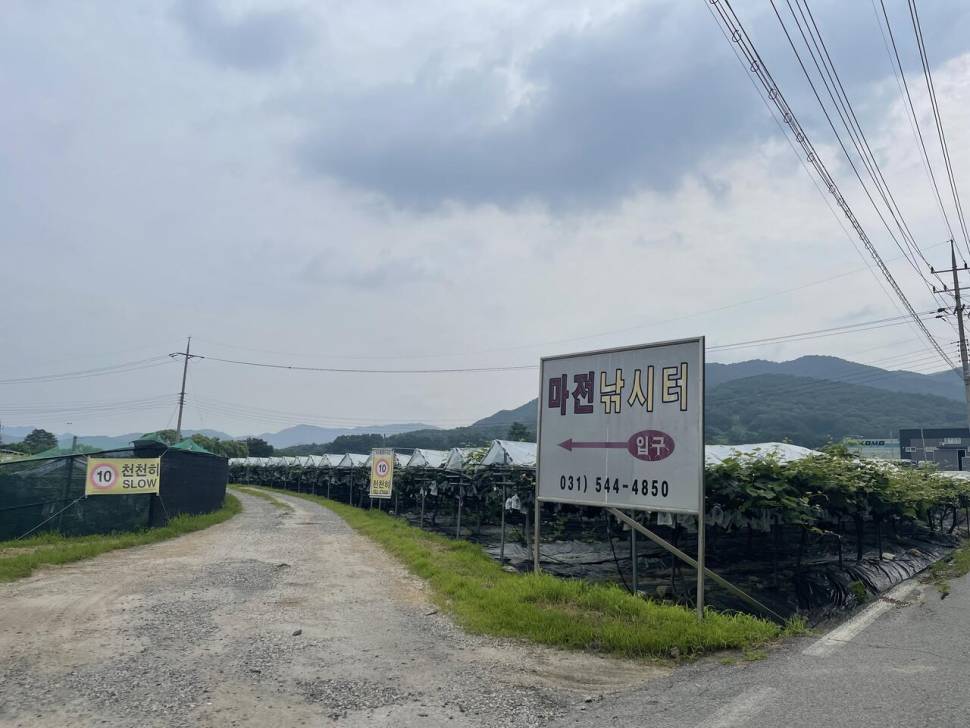 스승님 응원차 방문한 마전낚시터 (유료터정보 - 유료터조행기)