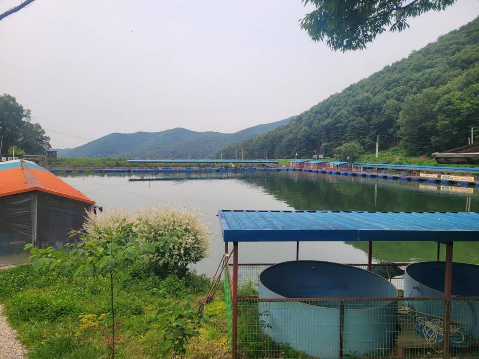 끝내주는 경치 끝내주는 마리수 둘다 만족하는 낚시터가 있다 안성 성주리낚시터 (유료터정보 - 유료터조행기)