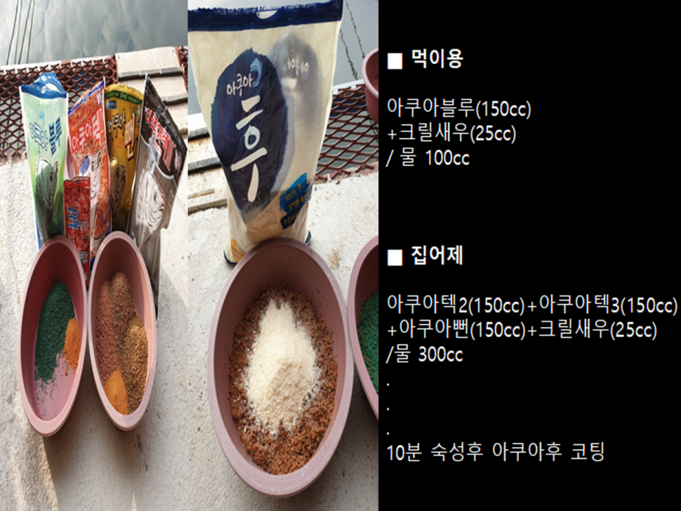 한파에 겨울물낚시장광낚시터 (유료터정보 - 유료터조행기)