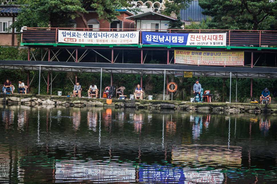 한가위 임진리 낚시터에서 (유료터정보 - 유료터조행기)