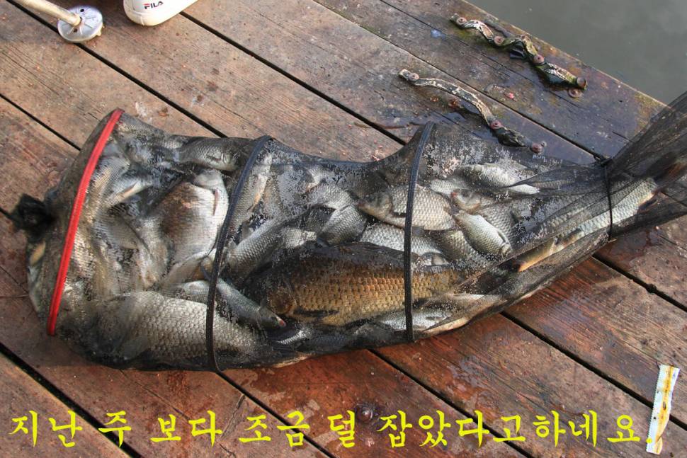 9월의 선물 만정낚시터 (유료터정보 - 유료터조행기)