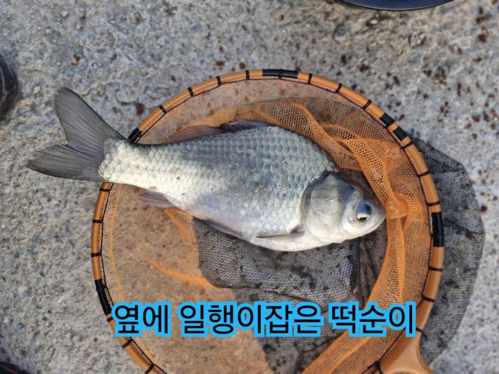 3월 마지막 토요일 낚시 (유료터정보 - 유료터조행기)