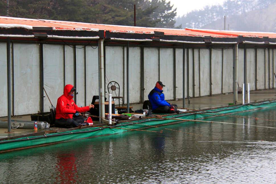 雨曜日 냉정낚시터 (유료터정보 - 유료터조행기)