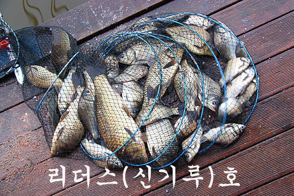 붕어들의 역습 만정낚시터 (유료터정보 - 유료터조행기)